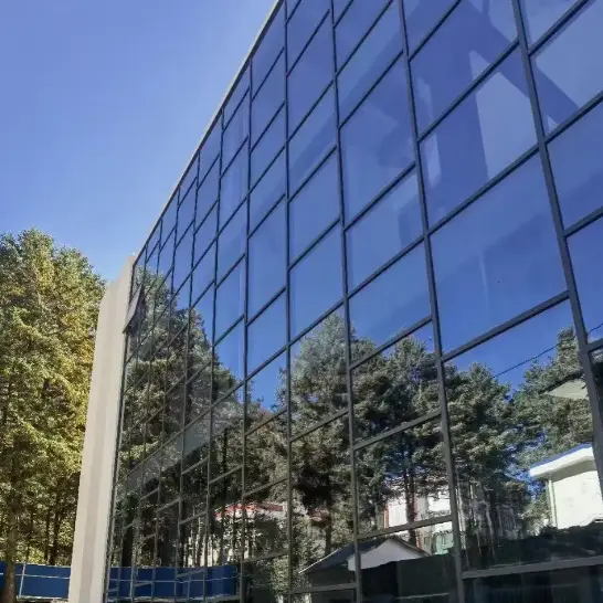 Paredes de cortina emolduradas